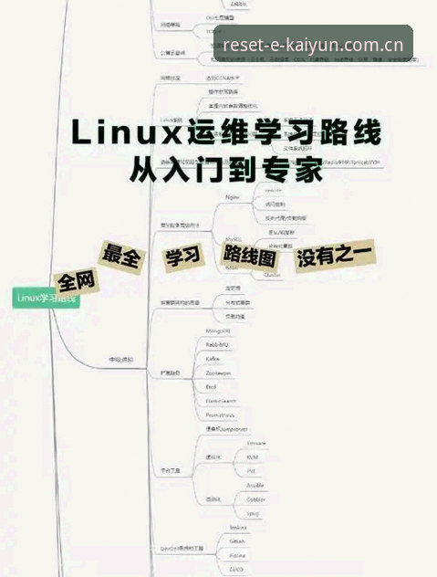 开云体育平台切换实操指南：替代站评测与版本更新必备知识